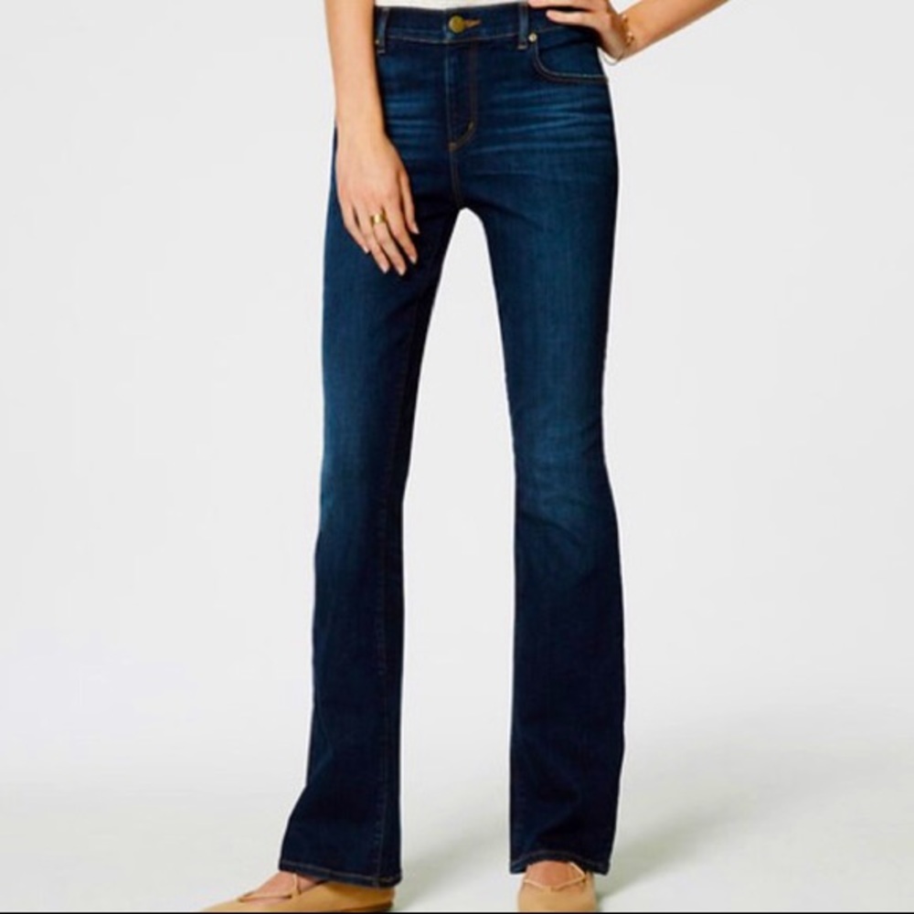 Ann Taylor Modern Fit Denim Jeans